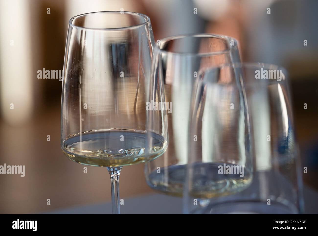 The Bold Secret Behind Albarino That Will Make Your Glass Unexpectedly Sparkle
