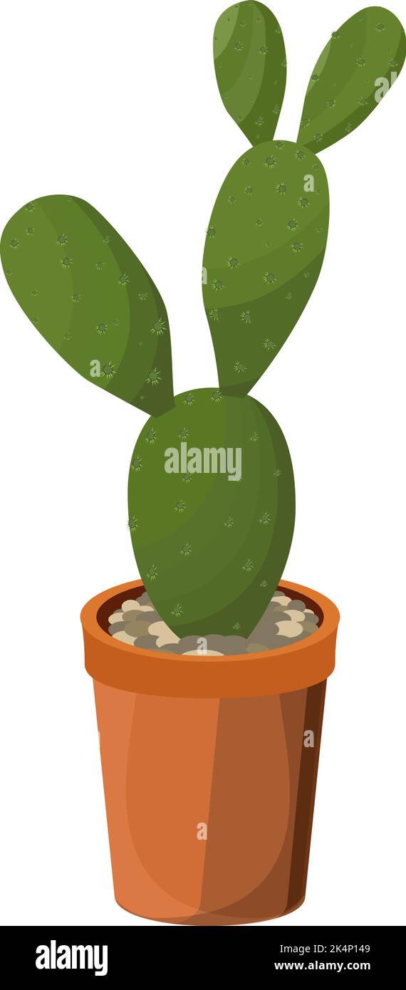 Bunny white ears cactus Stock Vector Images - Alamy
