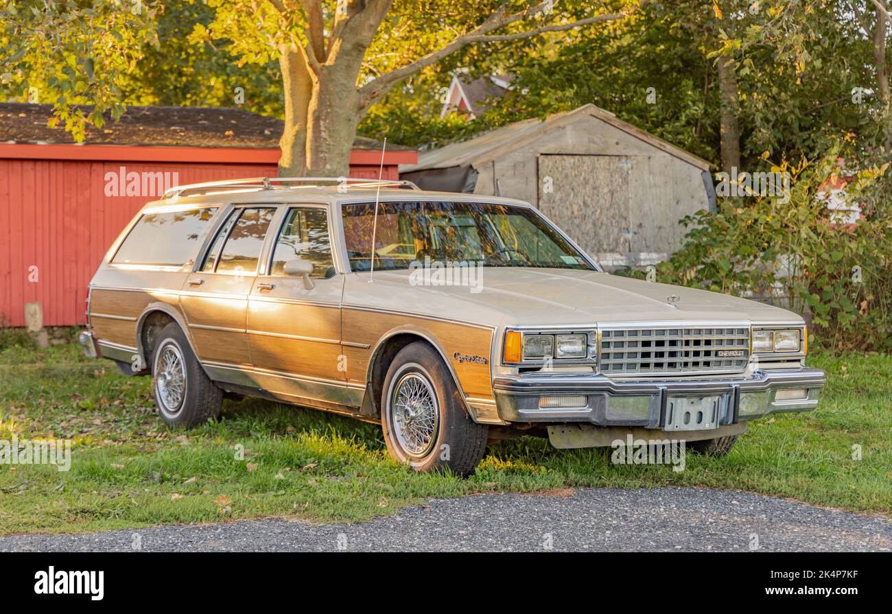Old Chevrolet Caprice Estate parked in the grass Stock Photo