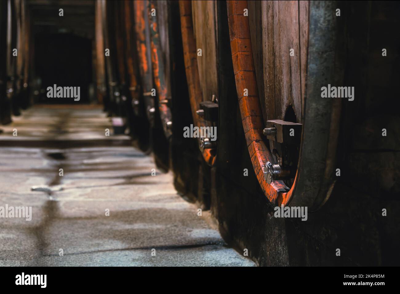 Old oak barrel rows in an authentic wine cellar of the french ...