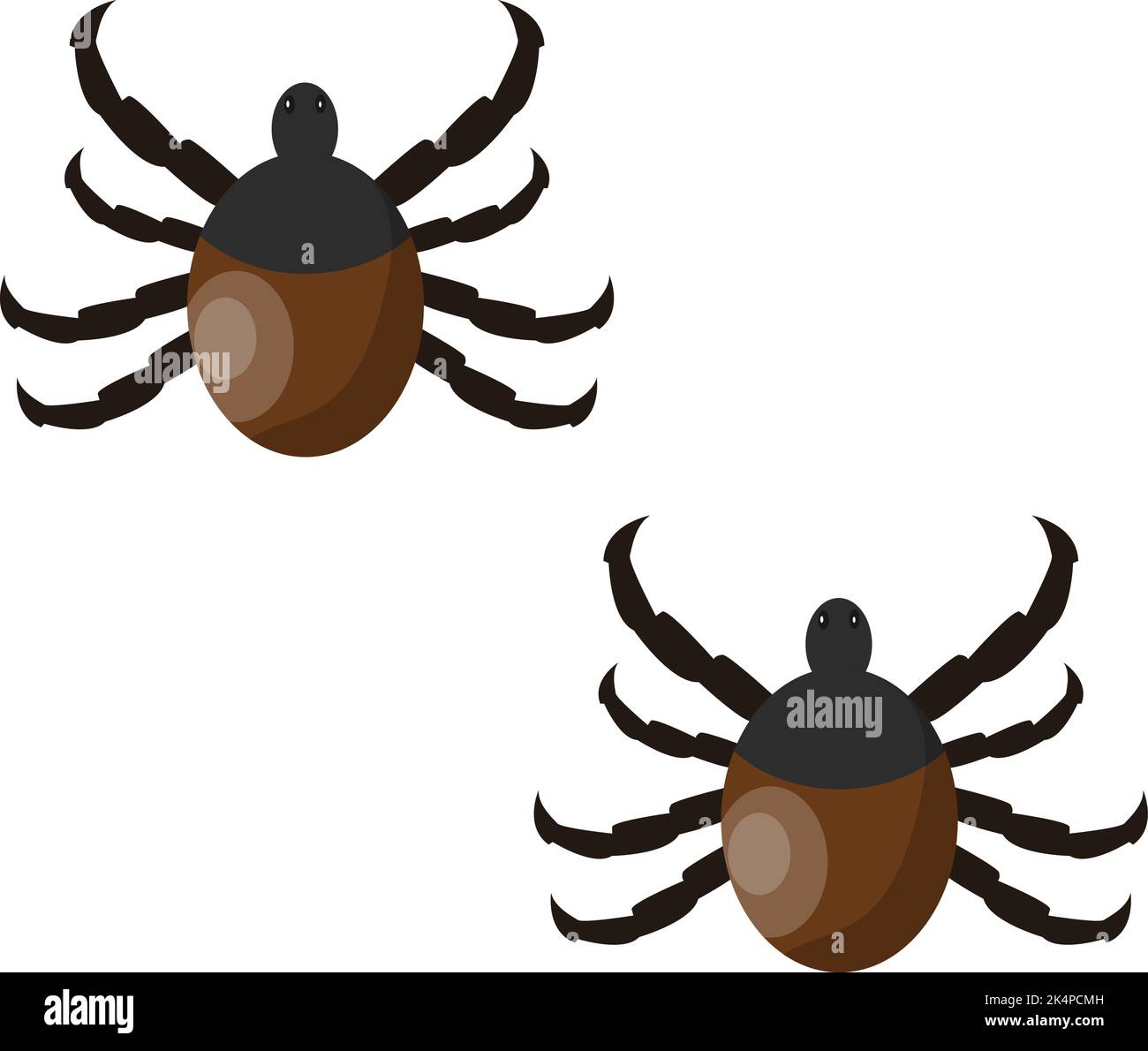 Tick bugs, illustration, vector on a white background. Stock Vector