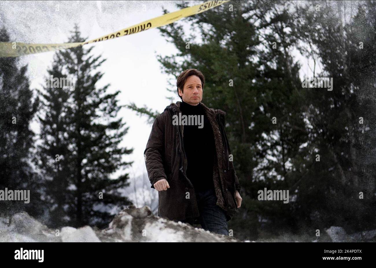 DAVID DUCHOVNY, THE X FILES: I WANT TO BELIEVE, 2008 Stock Photo