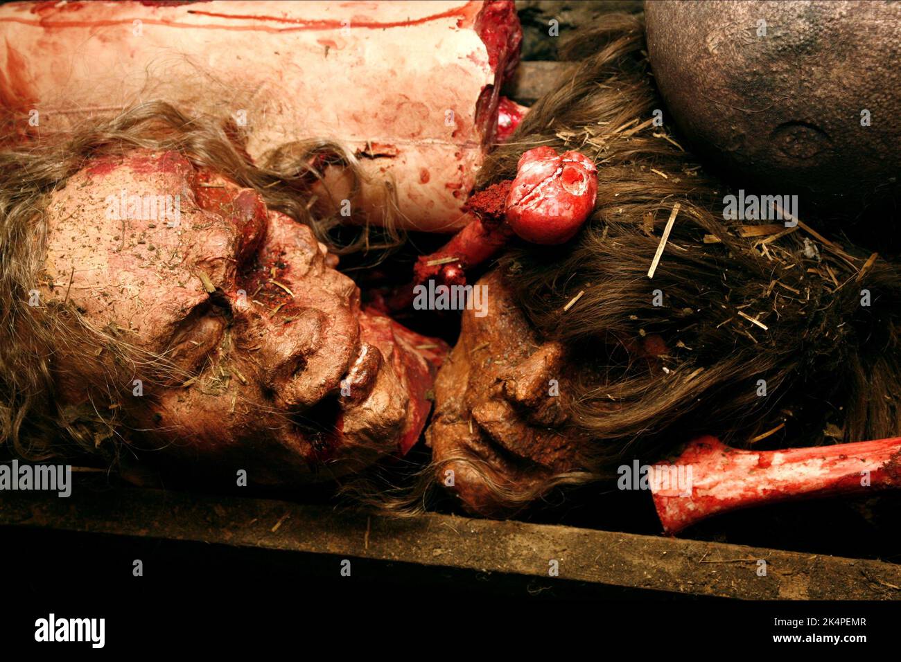 HUMAN REMAINS, THE COTTAGE, 2008 Stock Photo