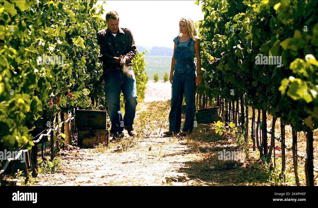 BILL PULLMAN, RACHAEL TAYLOR, BOTTLE SHOCK, 2008 Stock Photo Alamy