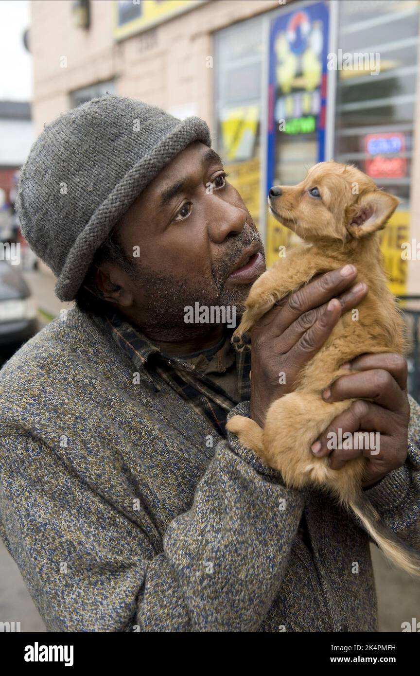 BEN VEREEN, ACCIDENTAL FRIENDSHIP, 2008 Stock Photo Alamy