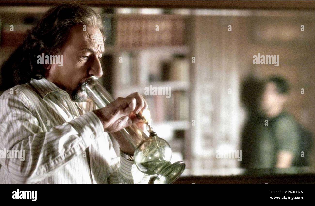 BEN KINGSLEY, THE WACKNESS, 2008 Stock Photo - Alamy