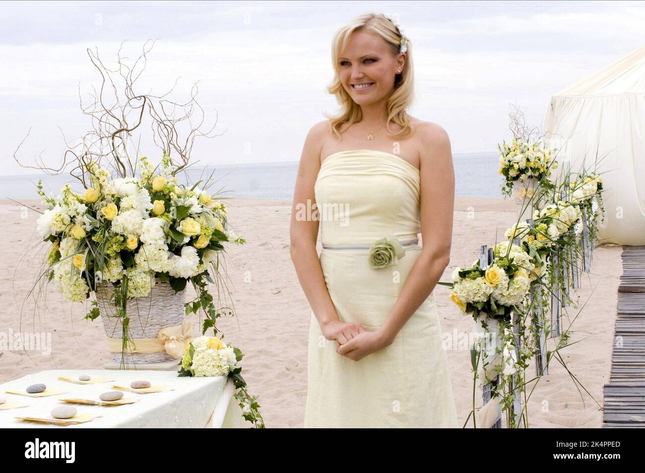 Malin akerman 27 dresses 2008 hi-res stock photography and images - Alamy