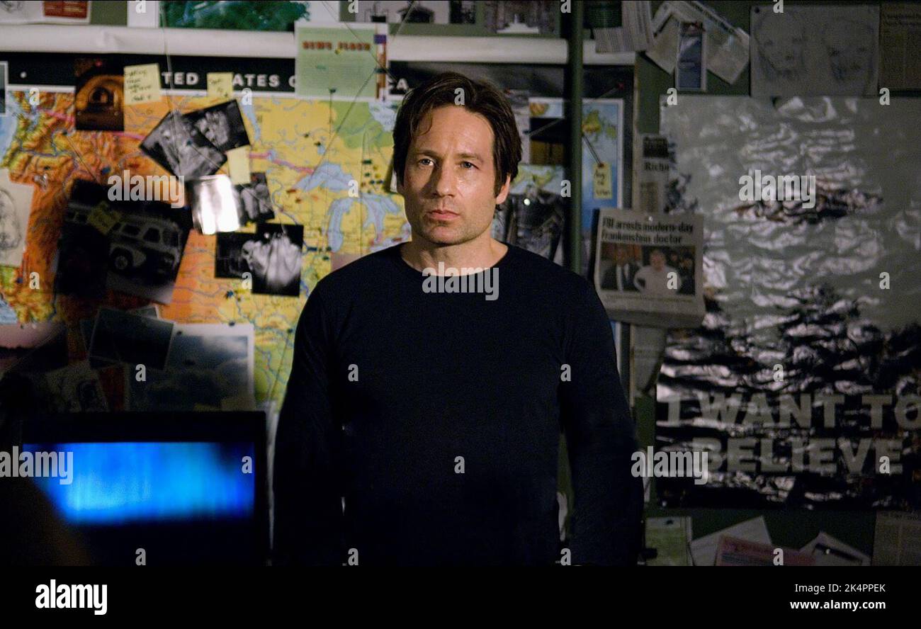 DAVID DUCHOVNY, THE X FILES: I WANT TO BELIEVE, 2008 Stock Photo