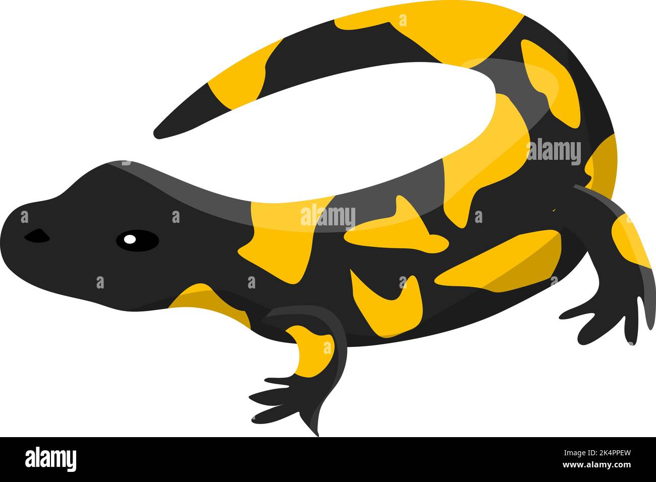 Fire salamander, illustration, vector on a white background Stock