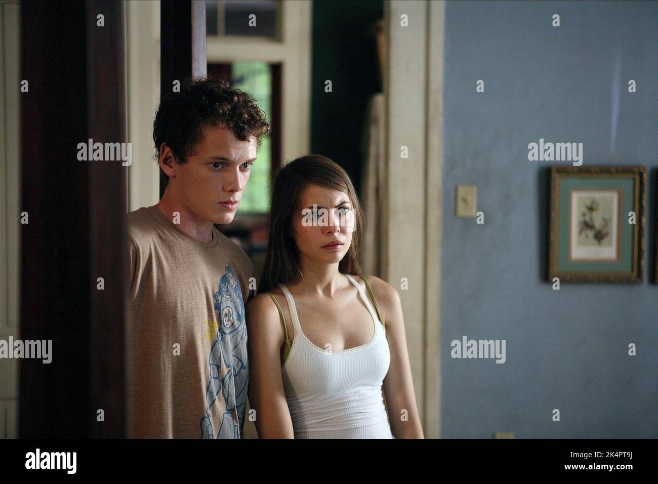 YELCHIN,HOLLAND, MIDDLE OF NOWHERE, 2008 Stock Photo