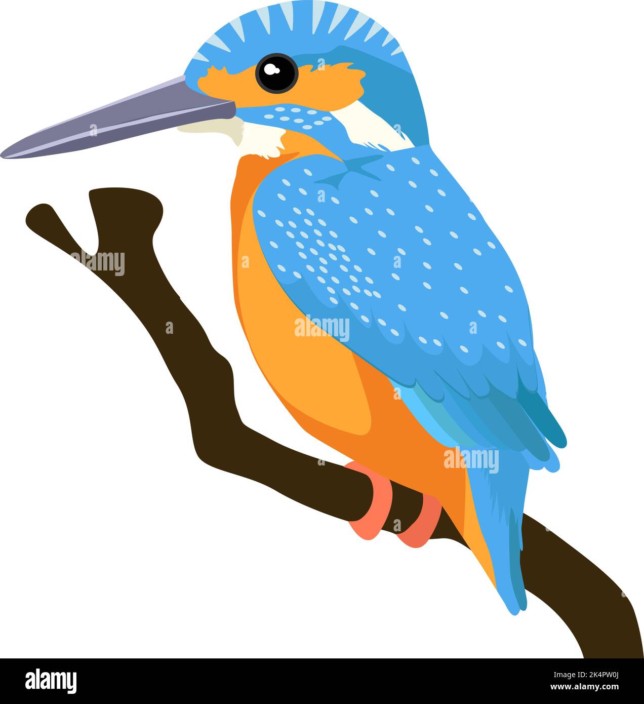Kingfisher bird, illustration, vector on a white background. Stock Vector