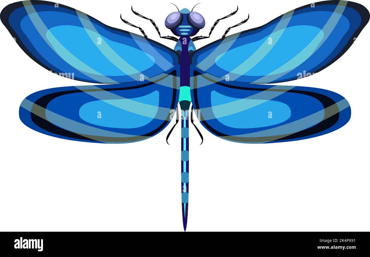 Blue dragonfly, illustration, vector on a white background Stock Vector ...