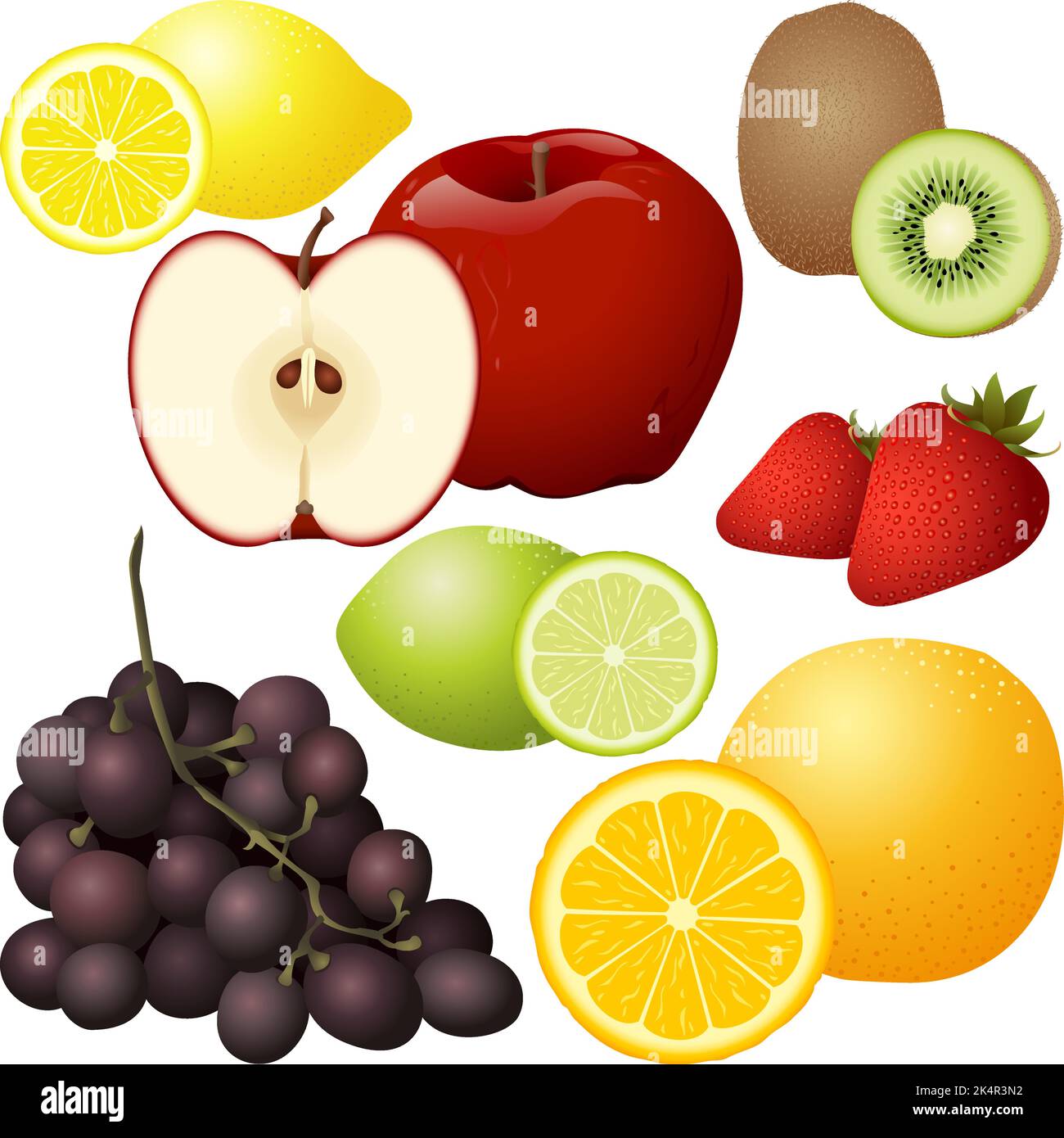 Seven Types Of Stem Stock Vector Images Alamy seven-types-of-stem-stock-vector-images-alamy