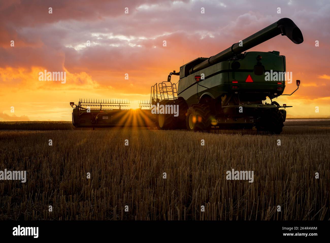 Durum wheat and harvest sunset hi-res stock photography and images - Alamy