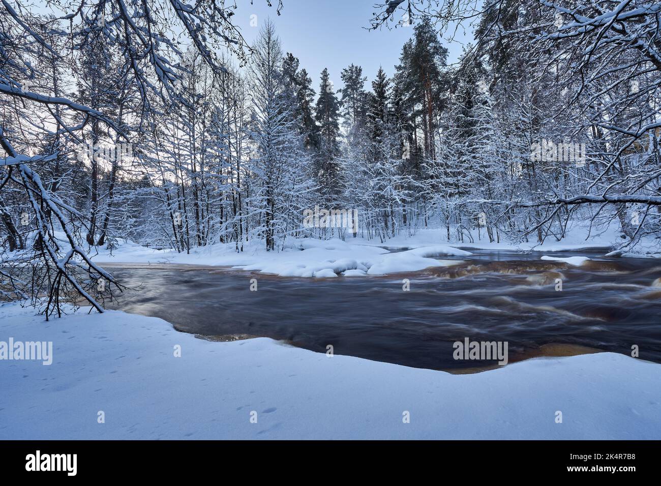 A beautiful frozen river surrounded by snowy conifers Stock Photo - Alamy