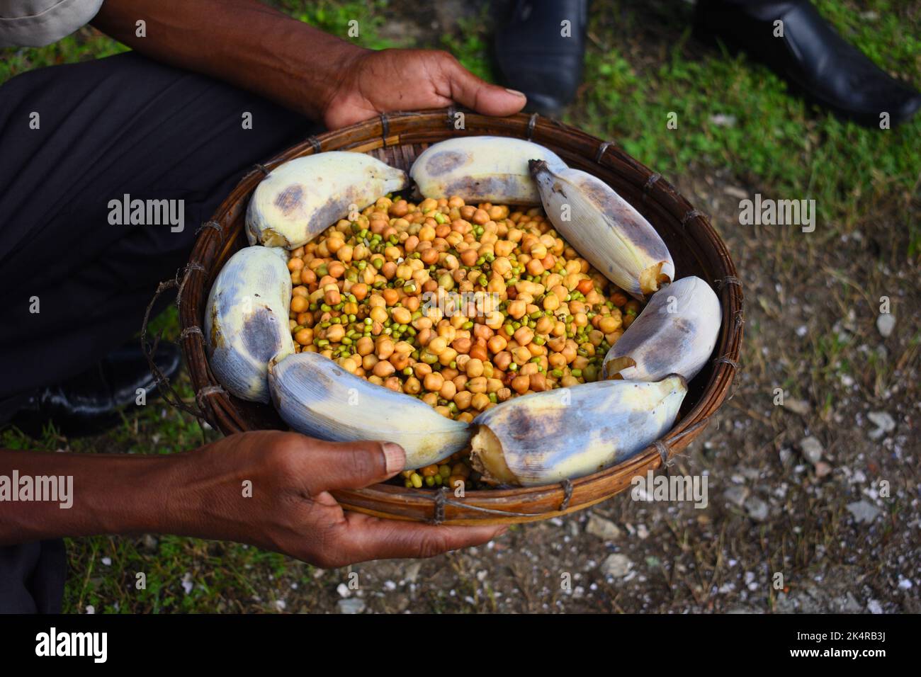 A person holding a basket  full of White chickpea (kabuli chana) and banana Stock Photo