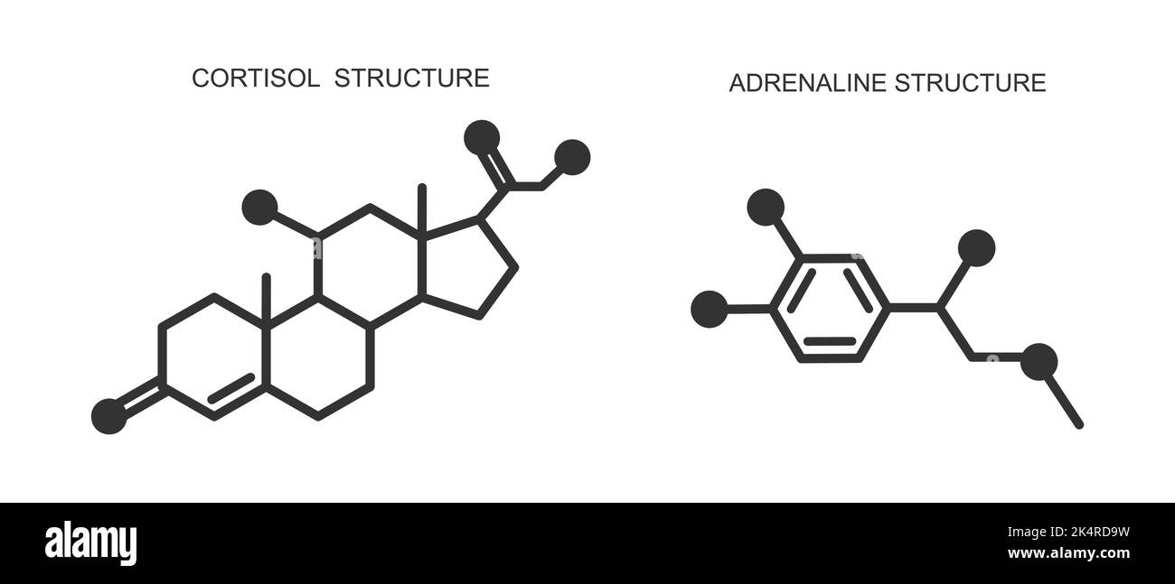 Cortisol and adrenaline icons. Hydrocortisone and epinephrine chemical molecular structure. Stress related hormones produced by adrenal glands. Vector outline illustration Stock Vector