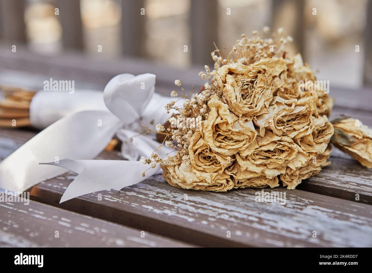 Bouquet of dried roses tied with white ribbon lying on bench at sunset Stock Photo