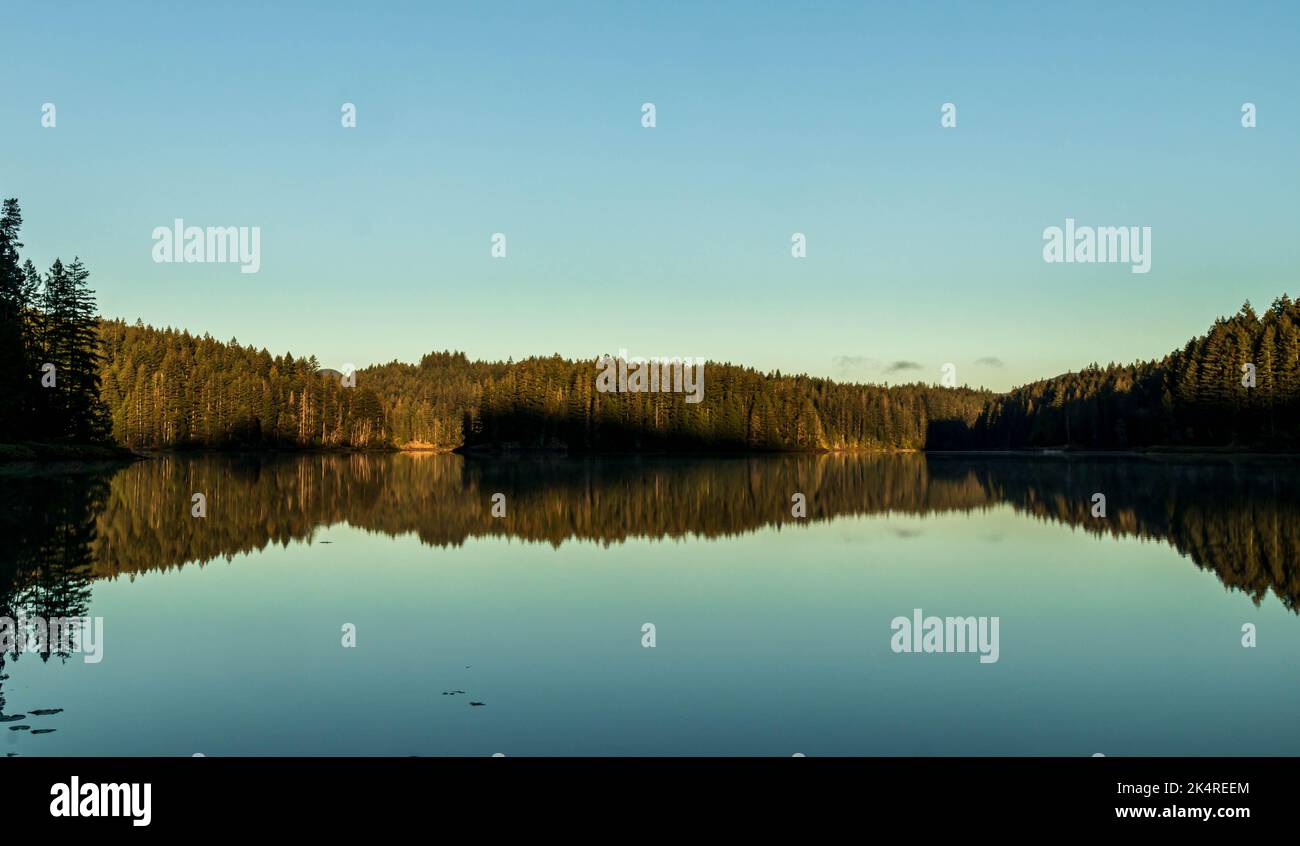 Early morning reflection at Main Lake in British Columbia.  Perfect reflection, clear sky, quiet wilderness. Stock Photo