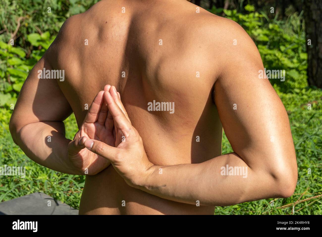 latin american man doing yoga posture, yoga posture, Bee backwards Prsthatah Brahmara, forest Stock Photo