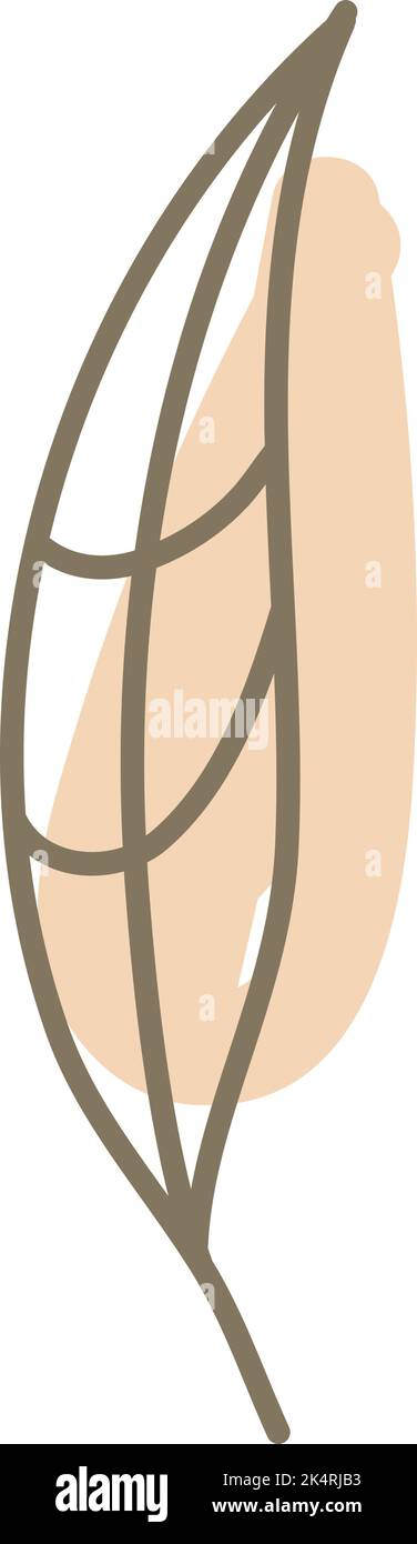 Orange feather, illustration, vector on a white background. Stock Vector