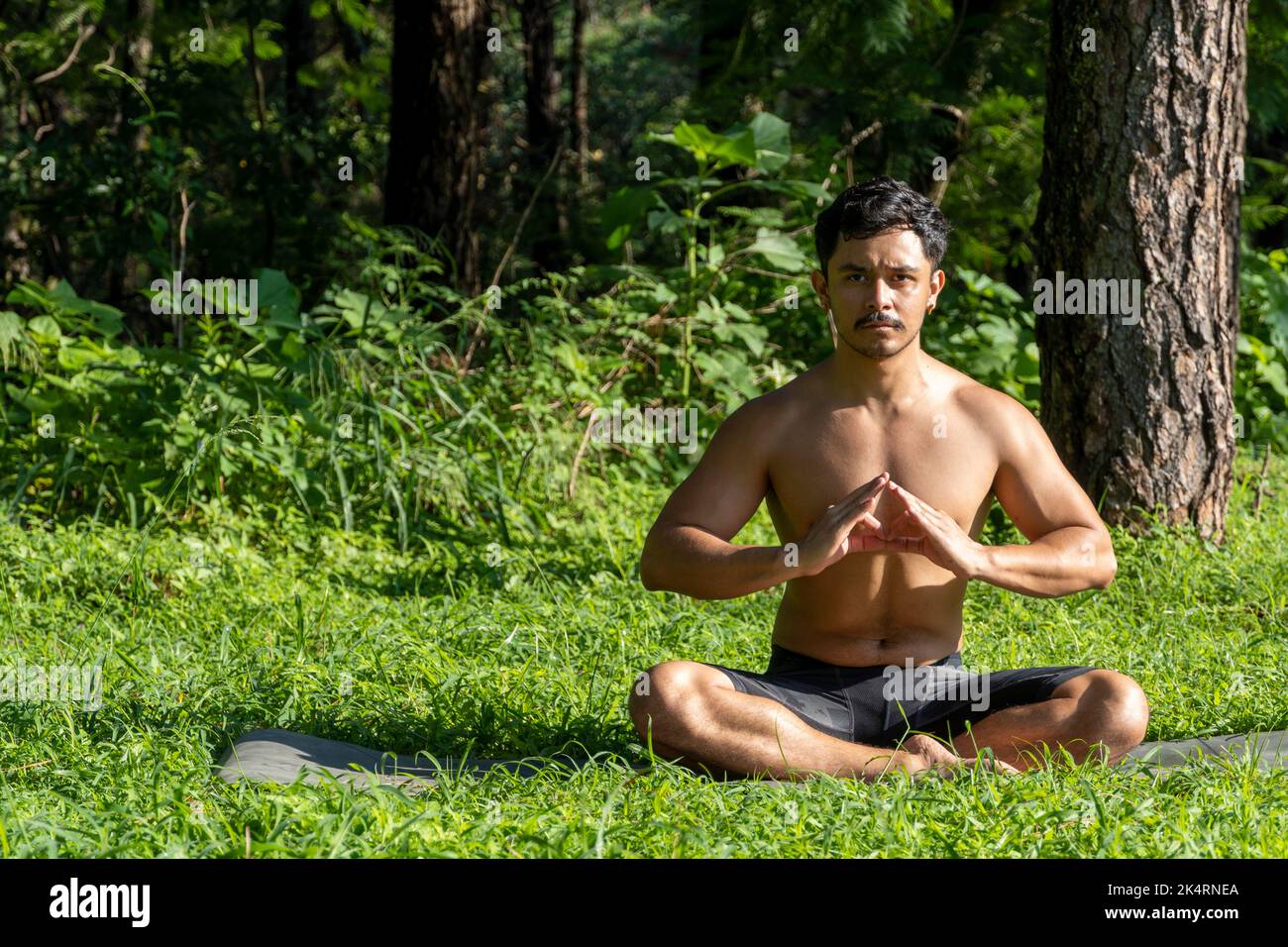 hispanic and latin man, meditating in the middle of a forest, receiving sun rays, brown skin, mexico Stock Photo