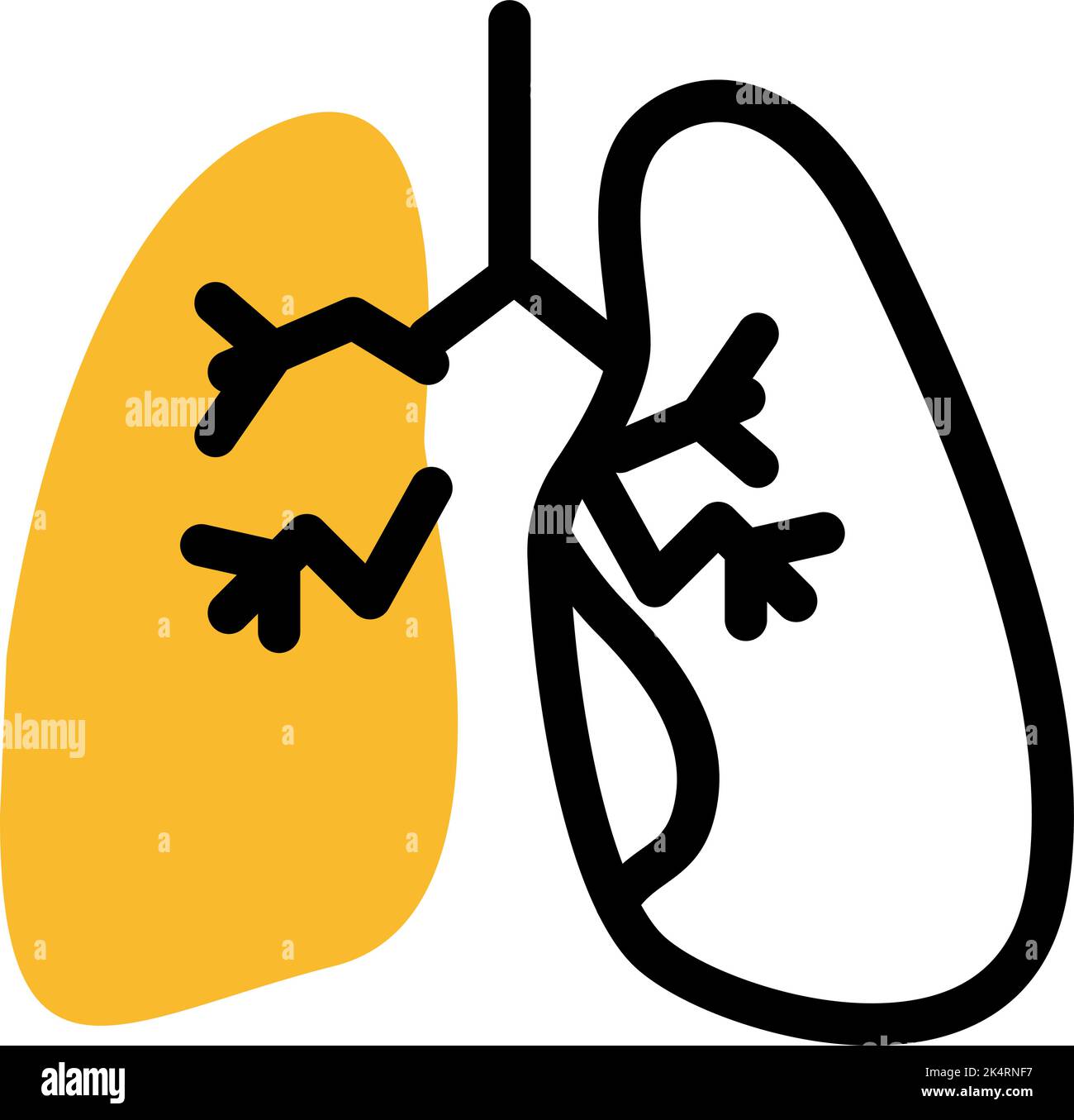 Healthy lungs, illustration, vector on a white background. Stock Vector