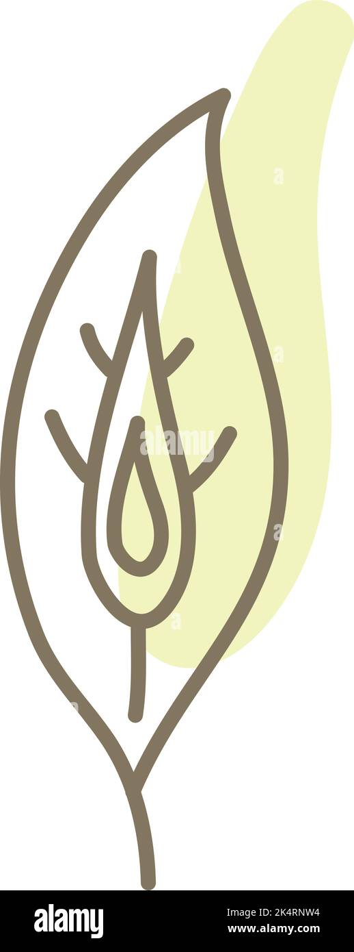 Peacock feather, illustration, vector on a white background. Stock Vector