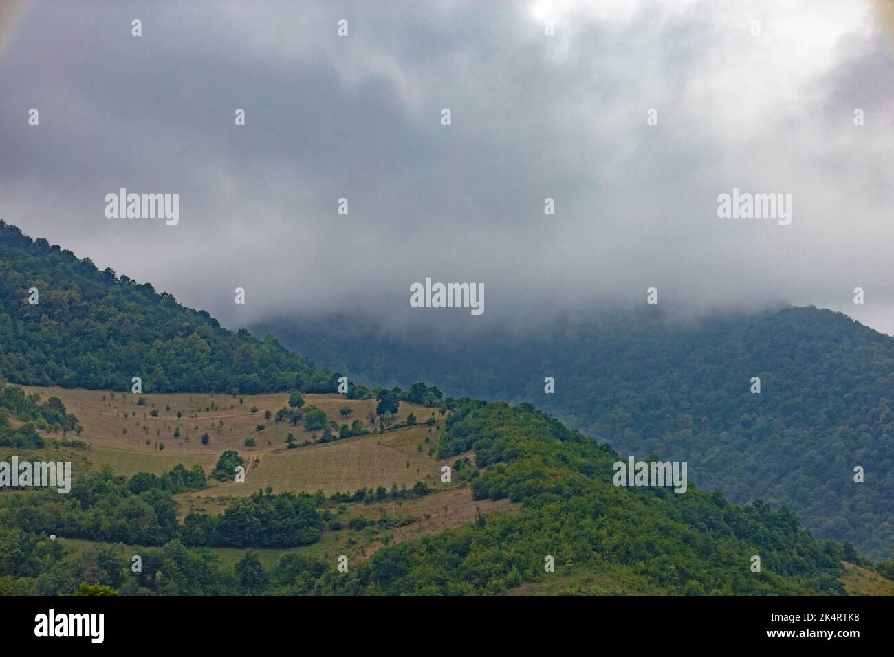 Mountain chain covered with forest and meadows on a foggy day, under low hanging clouds, in summer. Mountain peak covered with clouds. Stock Photo
