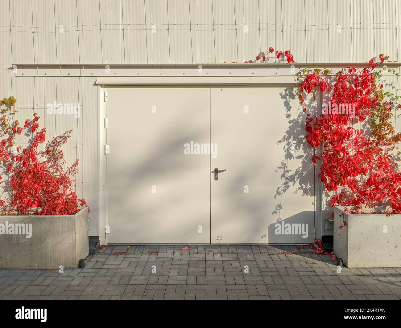 Large iron double-leaf door, gates on facade of modern building with urban gardening elements on sunny autumn day Stock Photo