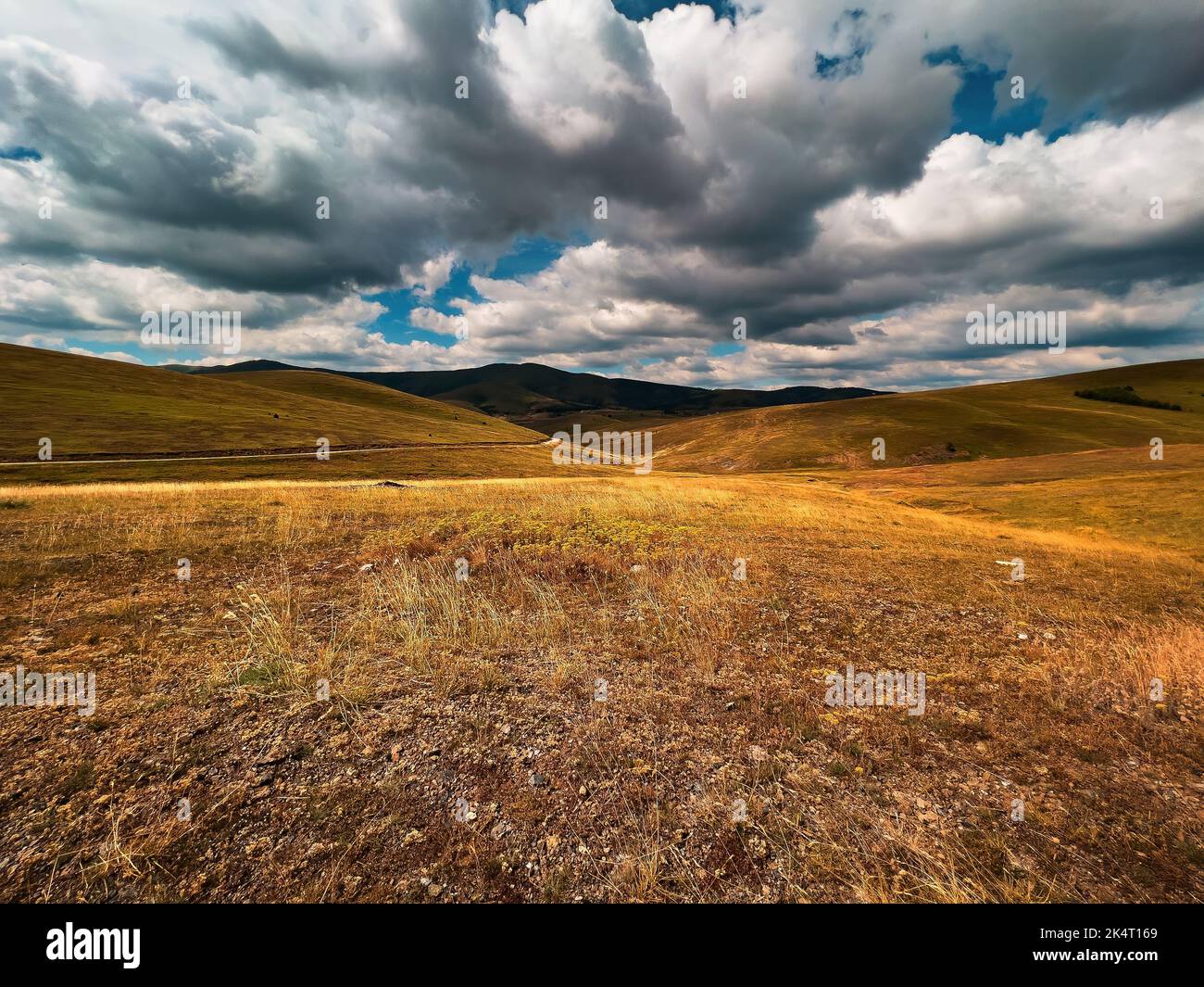 Zlatibor mountain hill landscape with beautiful clouds in background and dry grass in foreground Stock Photo