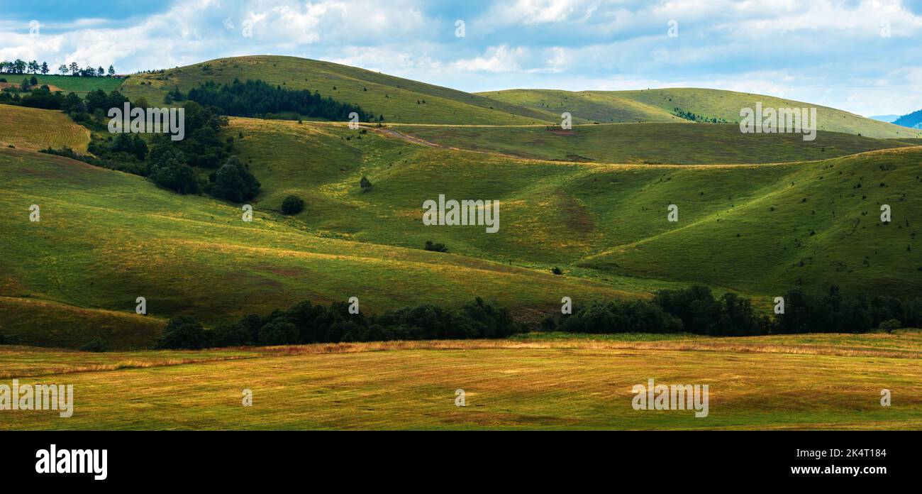 Green Zlatibor mountain hill landscape with beautiful clouds in background, panoramic image Stock Photo