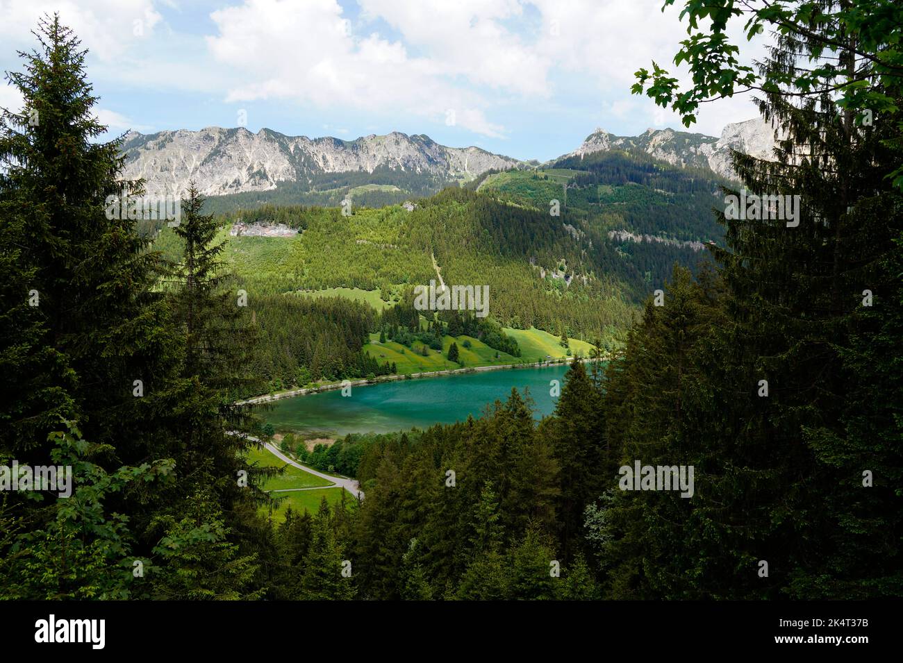 scenic emerald-green alpine lake Haldensee surrounded by lush green ...