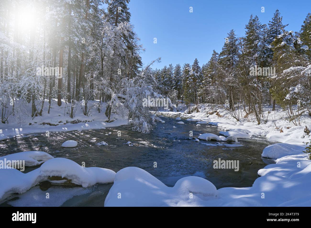Winter landscape with cold mountain river and trees. Stock Photo