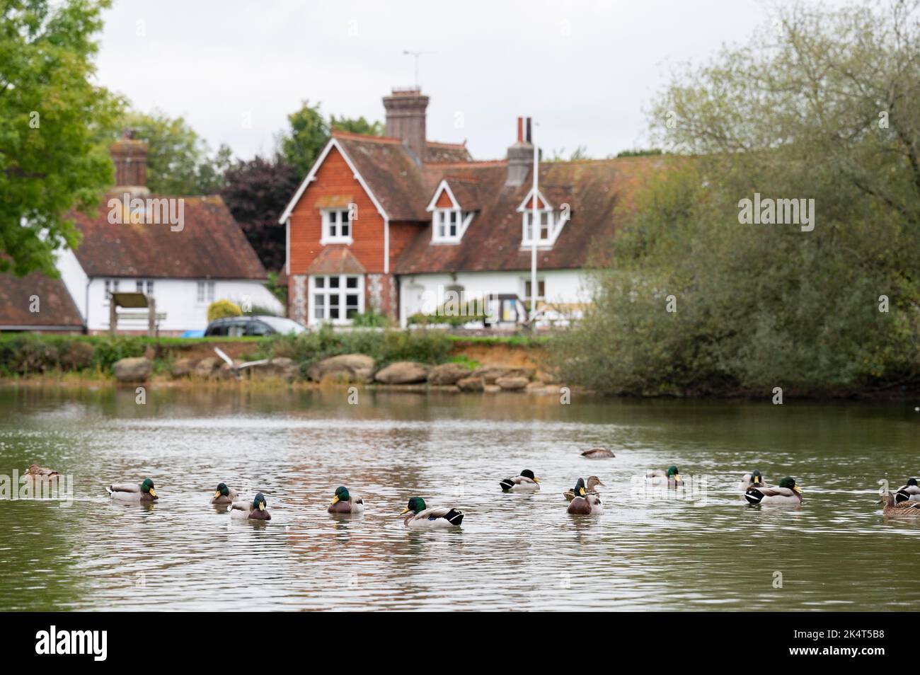 Brighton UK 4th October 2022 The Water Levels At The Saxon Pond In Brighton uk 4th october 2022 the water levels at the saxon pond in