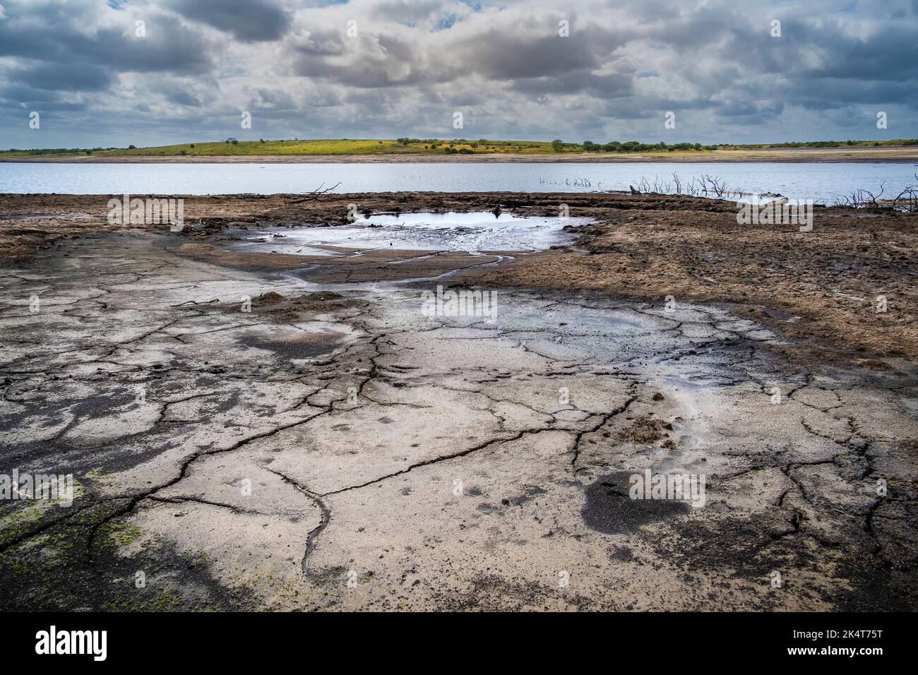 Receding shoreline and parched earth caused by falling water levels caused by severe drought conditions at Colliford Lake Reservoir on Bodmin Moor in Stock Photo