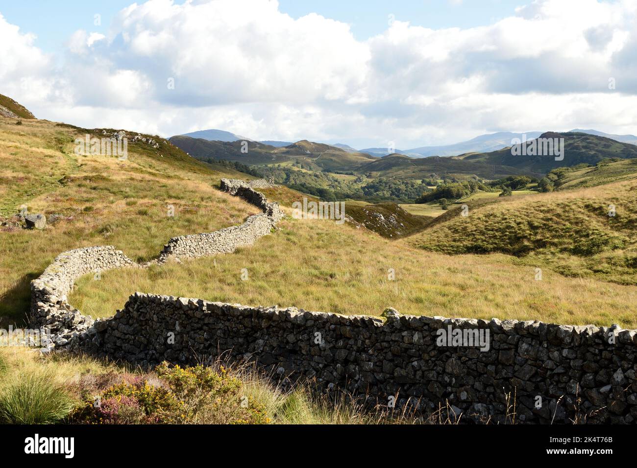 A dry stone wall snakes through the mountains into the distance. Snowdonia National Park, Wales