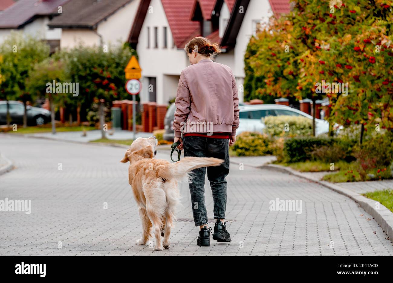 Girl and golden retriever dog Stock Photo - Alamy