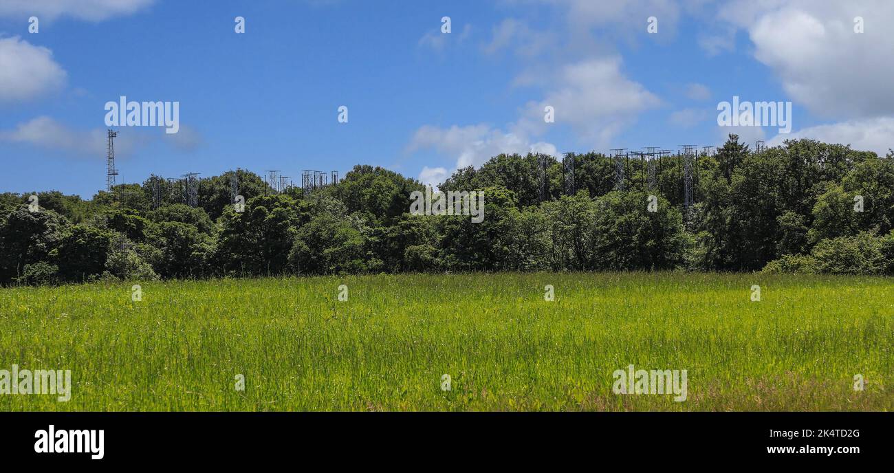 The Birmingham Institute of Forest Research (BIFoR) Free Air Carbon