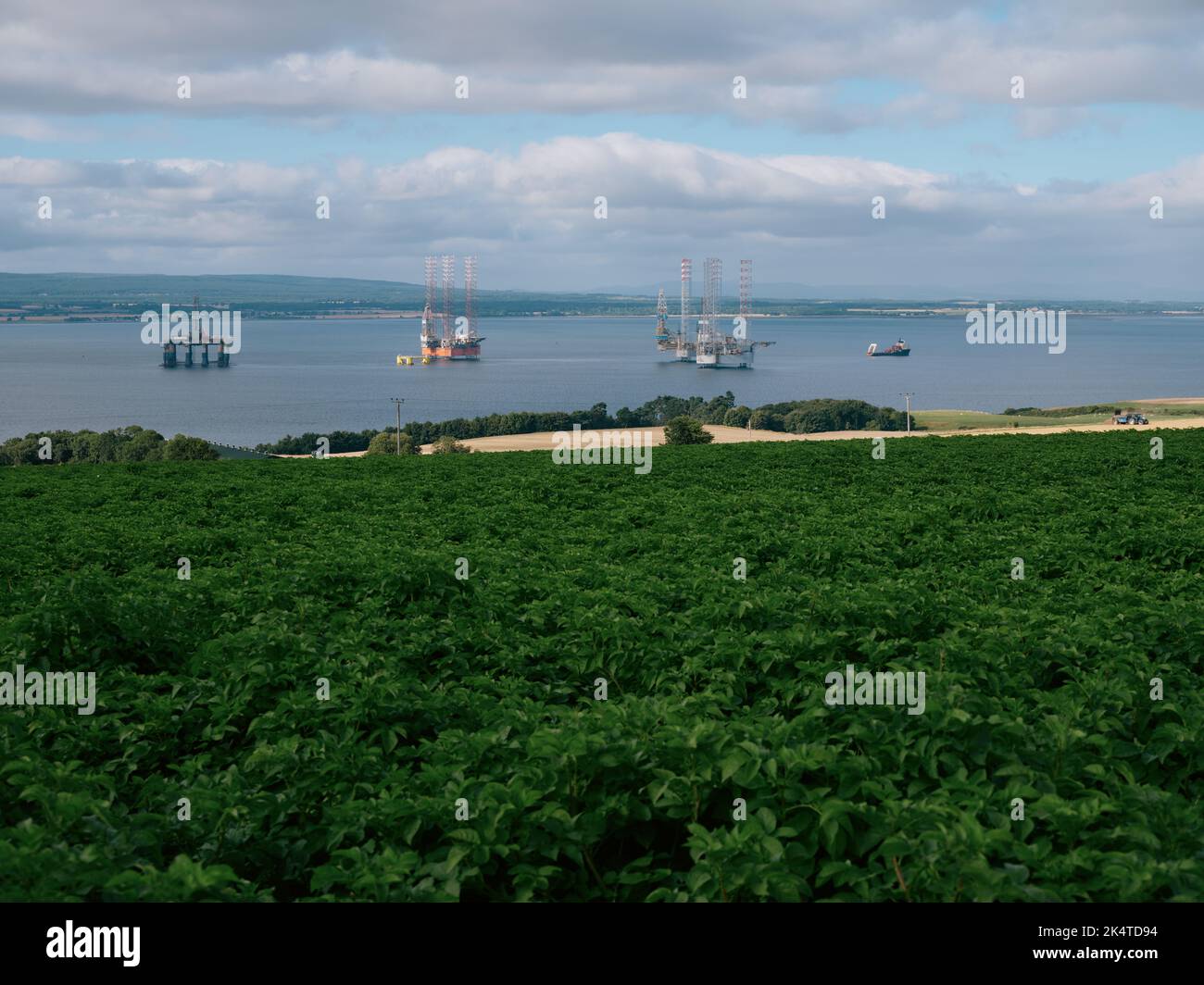 The summer farming landscape and coastline of the Cromatry Firth with layed up oil rigs, Cromarty, Black Isle, Ross and Cromarty, Highland Scotland UK Stock Photo