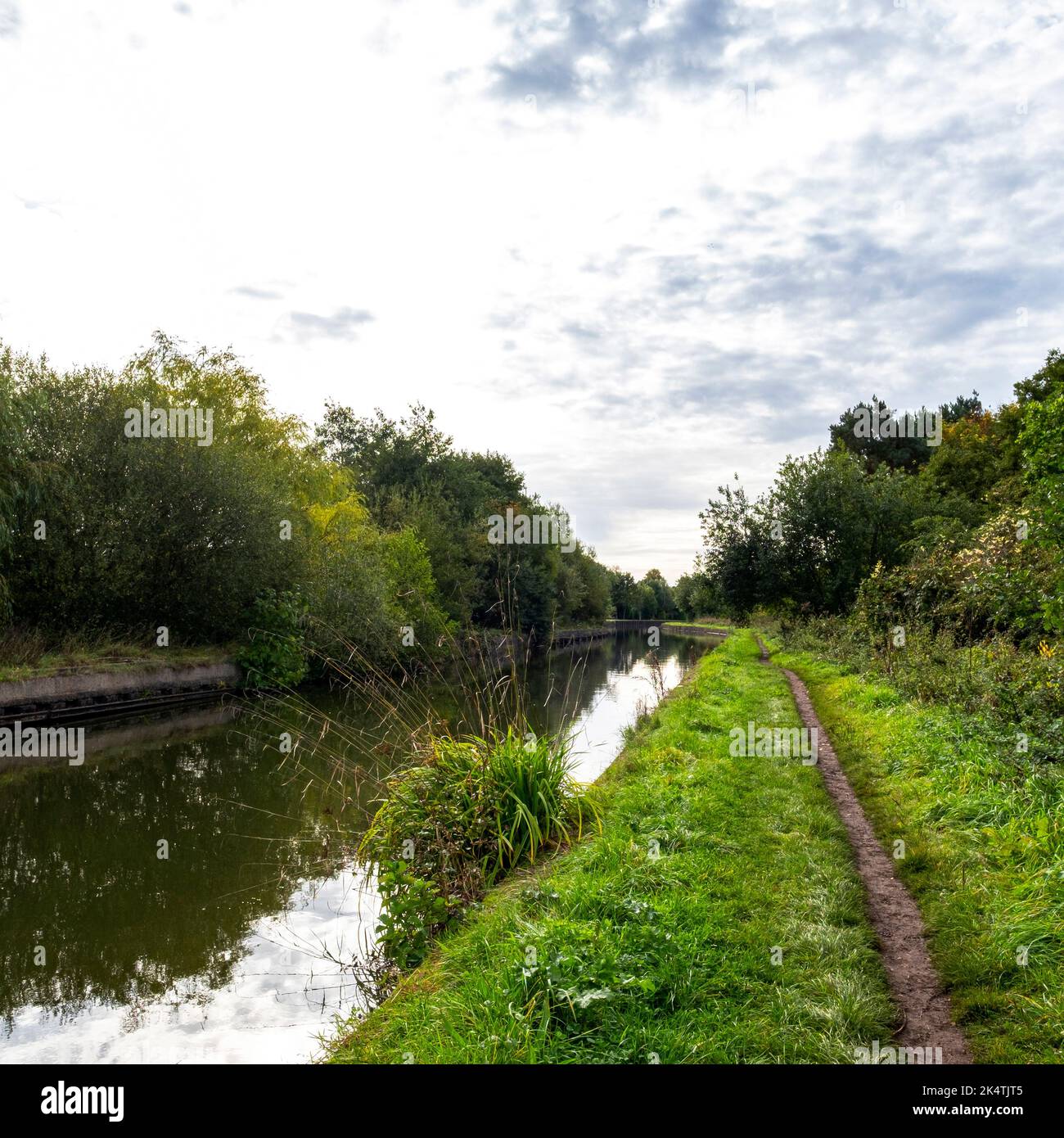 Trent and Mersey canal in Cheshire UK Stock Photo