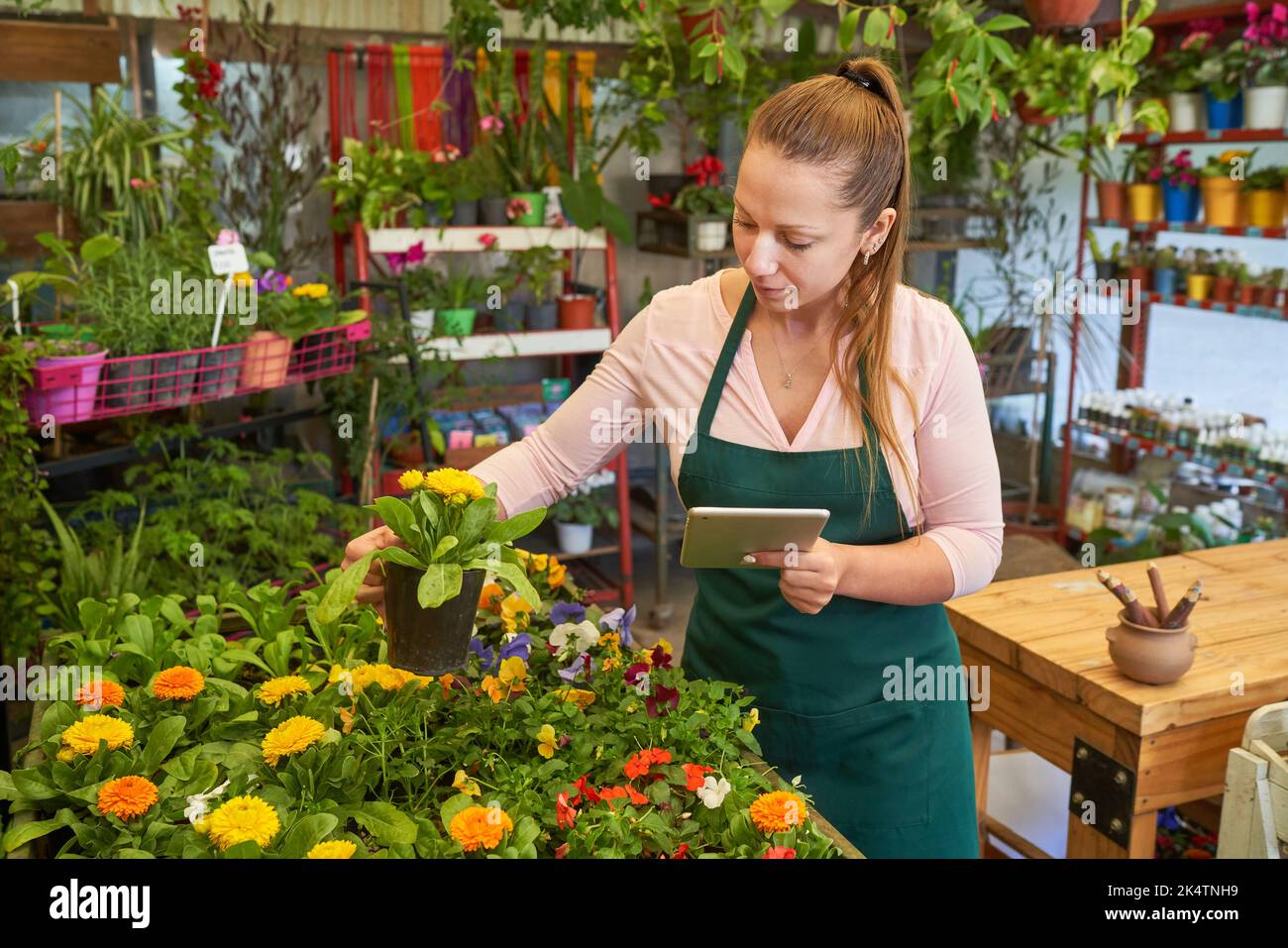 Young florist in the nursery's flower shop during quality control and inventory Stock Photo