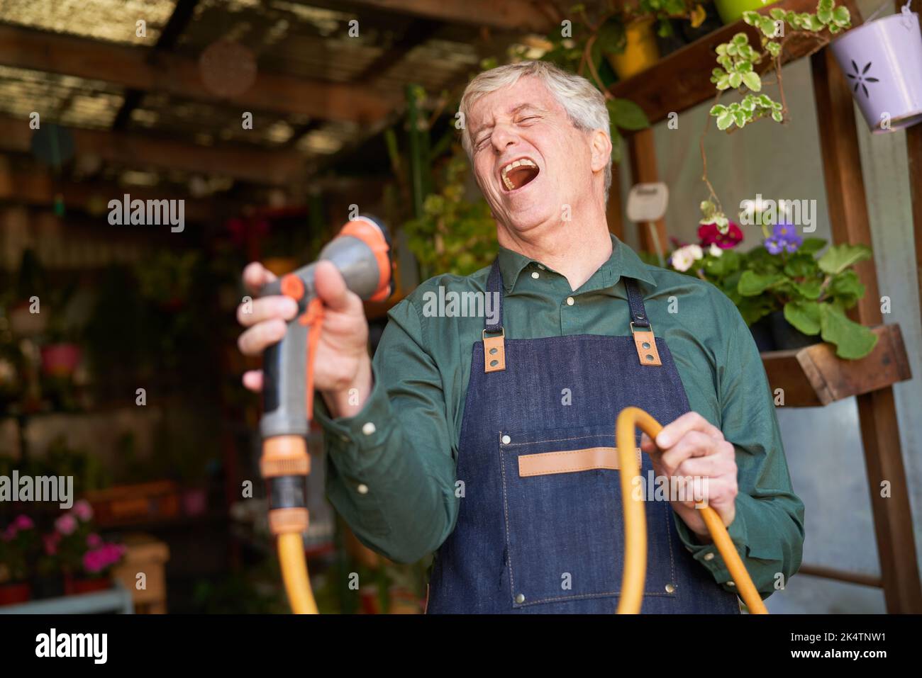 Elderly gardener in the flower shop with a garden hose while singing out loud for fun and high spirits Stock Photo