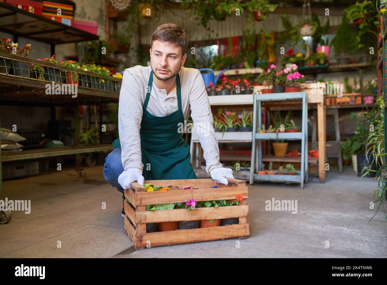 Exhausted young gardener carrying a box of plants for a delivery at the