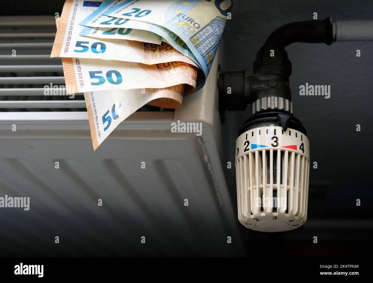 Controlling the heating costs radiator control and Euro bills on the