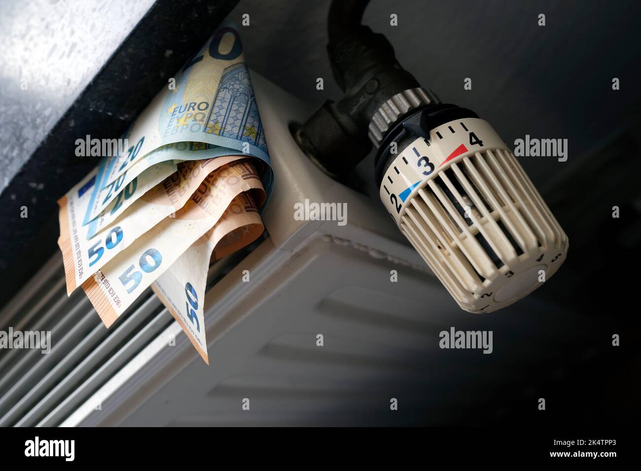 Controlling the heating costs radiator control and Euro bills on the