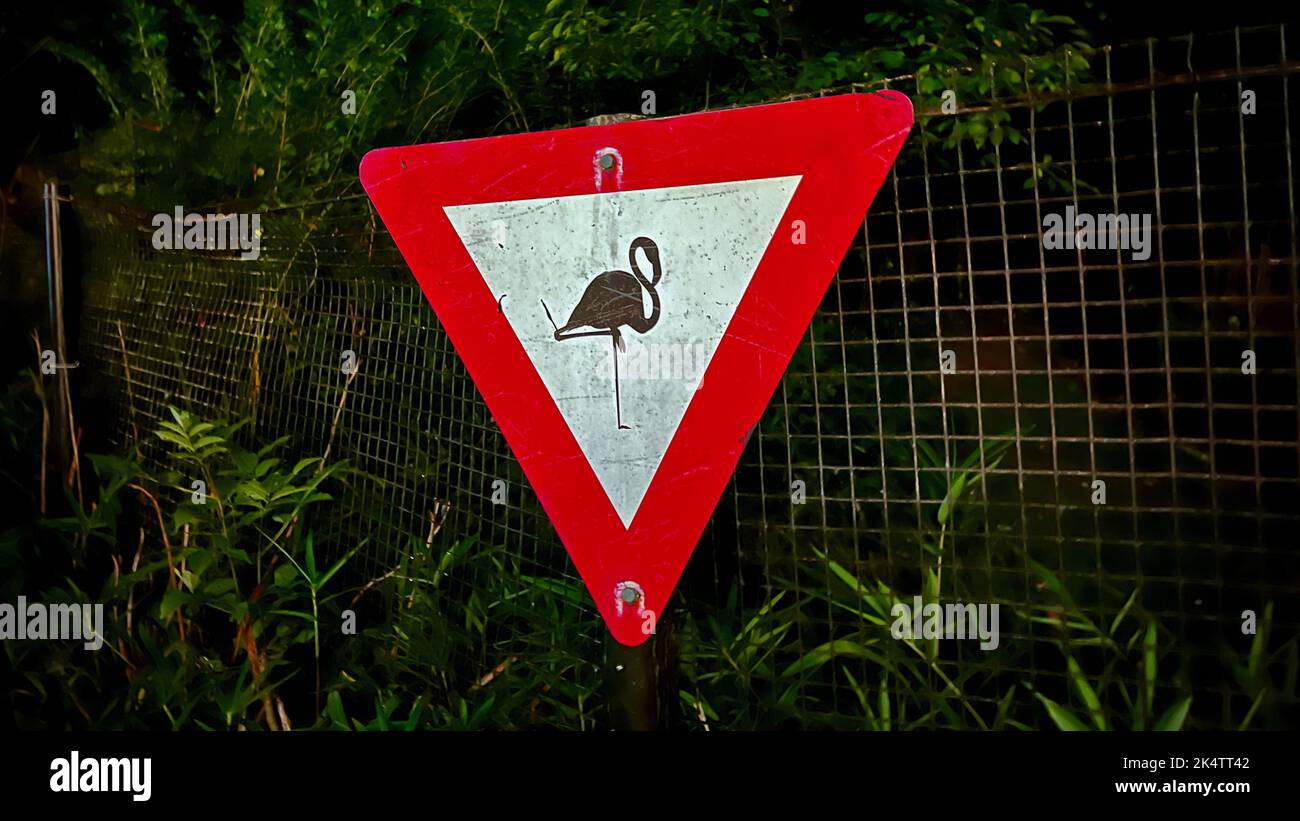 A Pittsburgh Zoo Flamingo Warning Sign Stock Photo Alamy