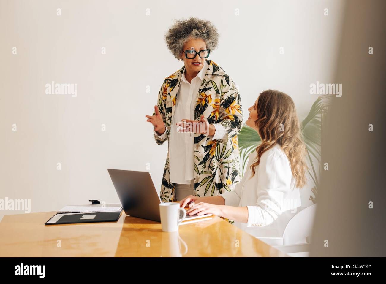 Two diverse businesswomen having a discussion in a modern meeting room. Creative businesswomen collaborating on a new task in a woman-owned startup. Stock Photo