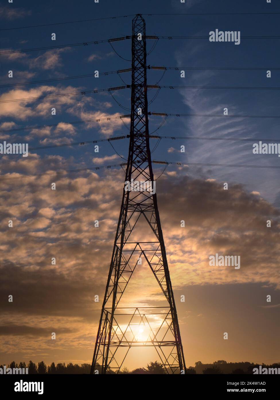 I love electricity pylons; I find their abstract, gaunt shapes endlessly fascinating. Here we see a giant pylon in a wheat field in Lower Radley Villa Stock Photo
