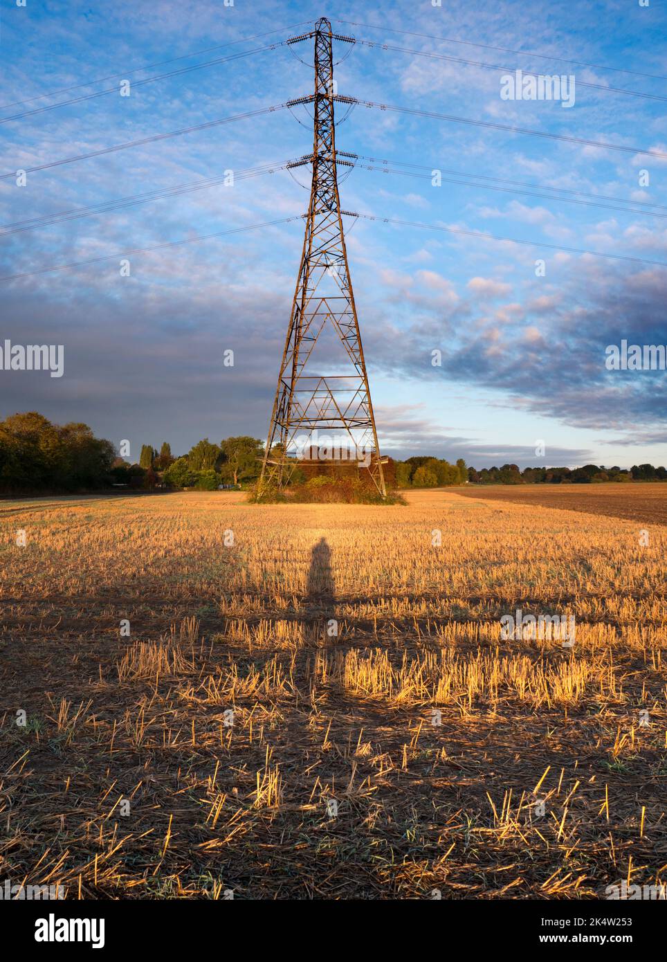 I love electricity pylons; I find their abstract, gaunt shapes endlessly fascinating. Here we see a giant specimen in a field in rural Radley, togethe Stock Photo